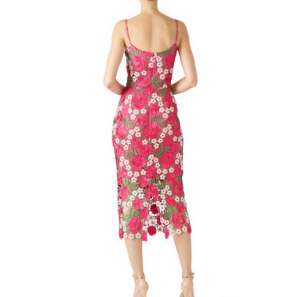 dress the population alexa lace sheath